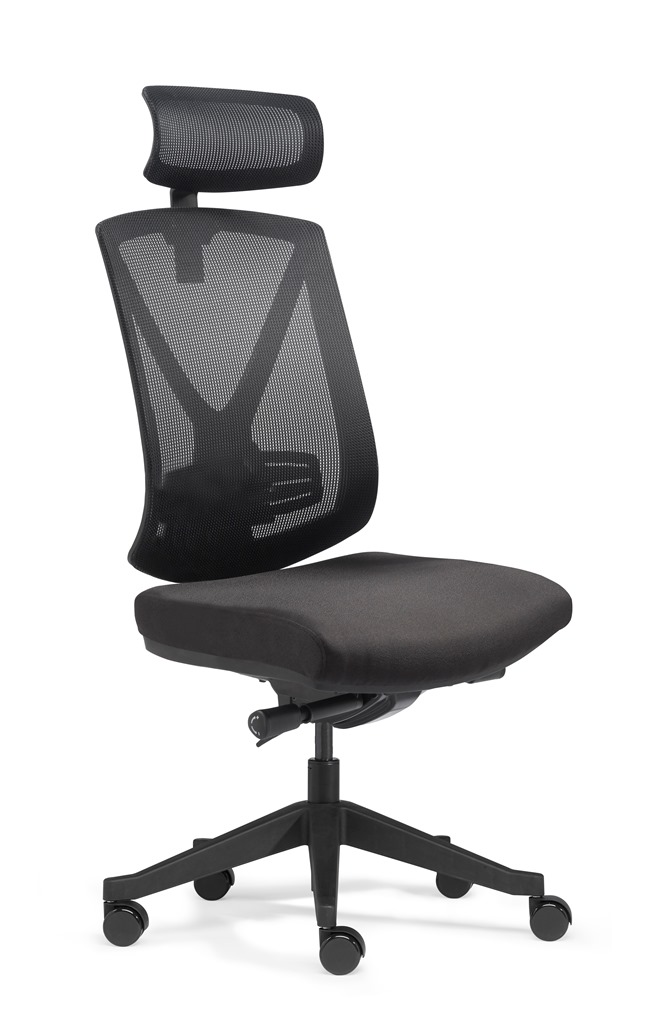 Ergo Studio L mit Kopfstütze Ergo Studio L mit Kopfstütze