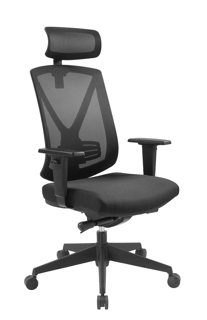 Ergo Studio L mit Kopfstütze Ergo Studio L mit Kopfstütze
